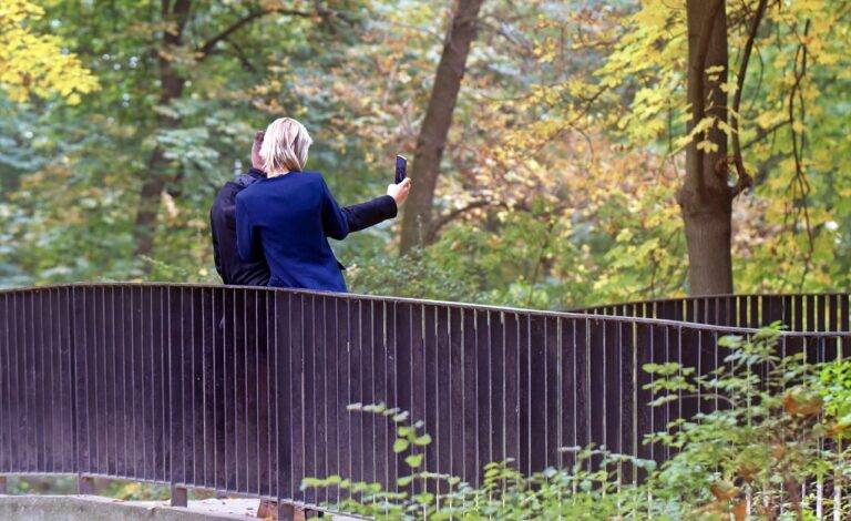 The Art of Bonsai: Cultivating Miniature Trees for Inner Peace