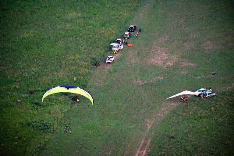 Redefining Film Distribution: The Impact of Video On Demand