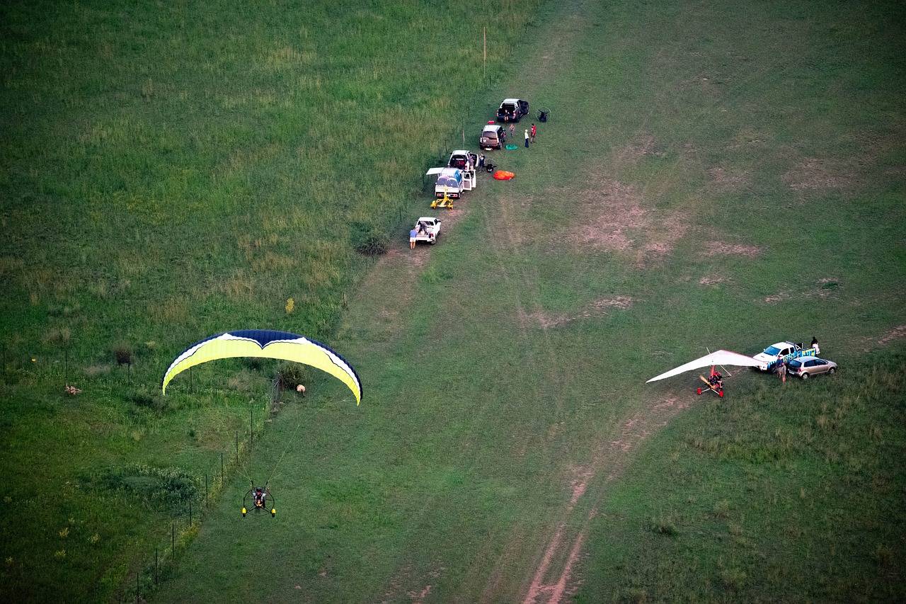 Redefining Film Distribution: The Impact of Video On Demand