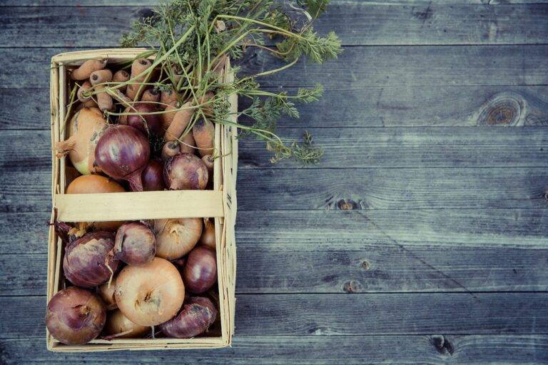 The Growth of Artisanal Food Producers